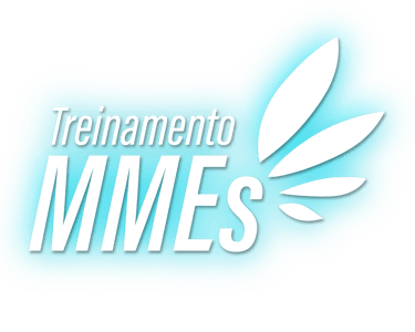 Treinamento MMEs logo