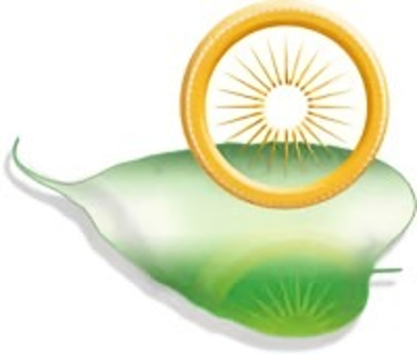 Yeshikhorlo Tibetan Buddhism logo