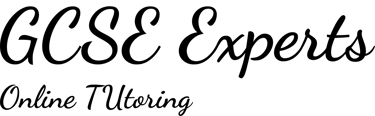 Online GCSE Maths Tutor £30 a Month logo
