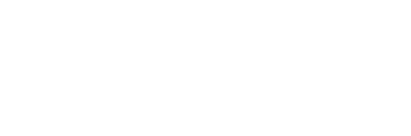 EMS Guitars logo