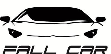 FallCar logo