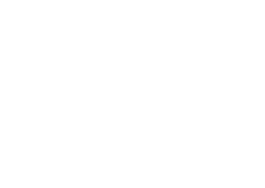 PulkkiMedia logo