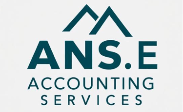 ANS E Accounting Services logo