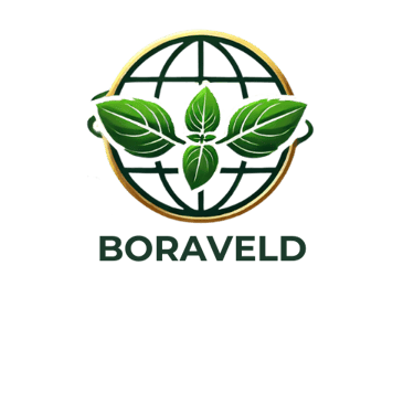 Boraveld Fresh logo