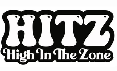 Hitz Disposables logo