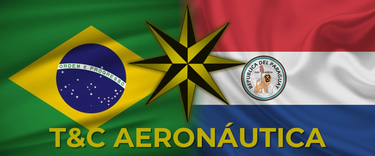 T&C Assessoria Aeronáutica logo