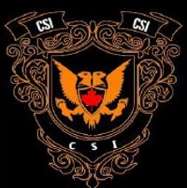 Cyber Security & Investigation Consultant logo