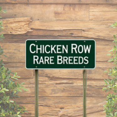 Chicken Row Rare Breeds logo