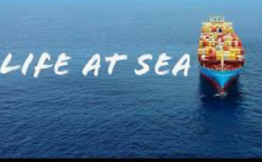 Ocean Global shipping logo