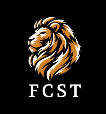 FIRST CITY SECURE TECHNOLOGIES logo