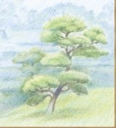 Christian Management, LLC logo