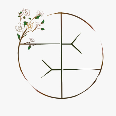 Fluir espaço clínico e organizacional logo