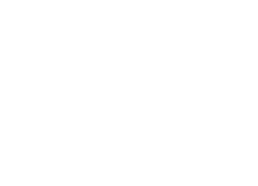 ZzaLinii logo