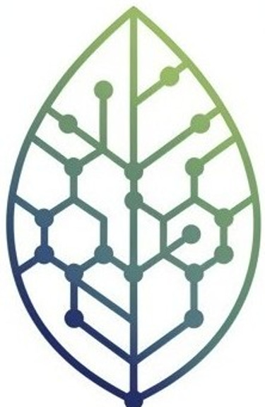 Climate Grid logo