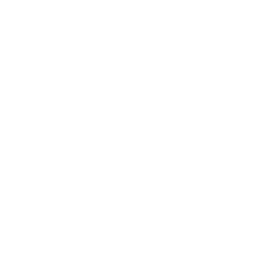 FlipVision logo