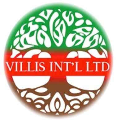 Villis International limited logo