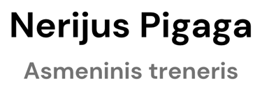 Nerijus Pigaga logo