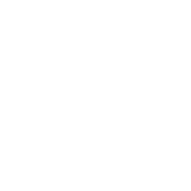PRİME FOCUS MEDYA logo