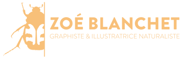 Zoé Blanchet - Graphiste et illustratrice naturaliste logo