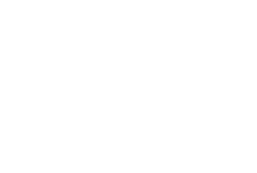 Yanji Climbing hold logo