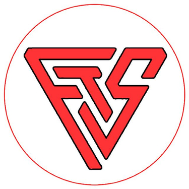 flash tech solutions logo