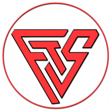 flash tech solutions logo