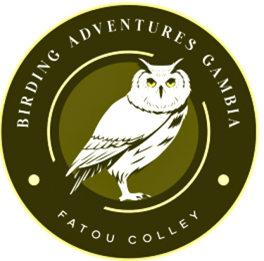 Gambia Birding Adventures logo