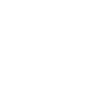 Robotics in Space (ROBIS) logo
