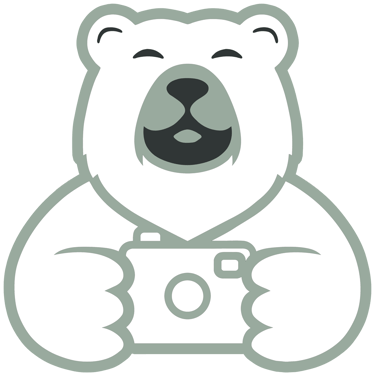 Papa Ours Photo logo