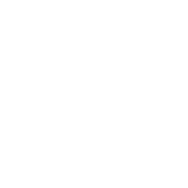 tough nets logo