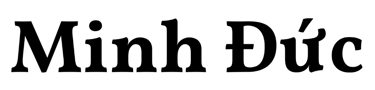 Minh Đức logo