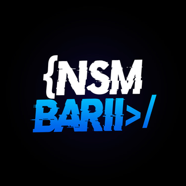 NSM logo