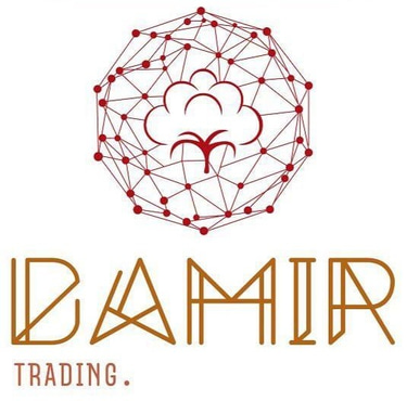Damir trading logo