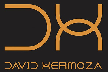 David Hermoza Foto logo
