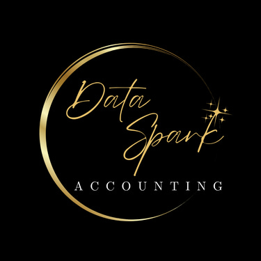 Data Spark Accounting logo