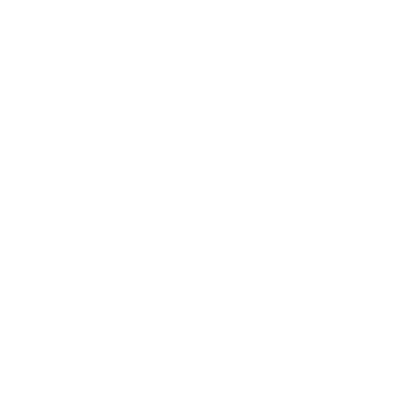 Spain41 logo