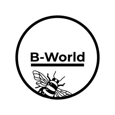 BworldTools logo