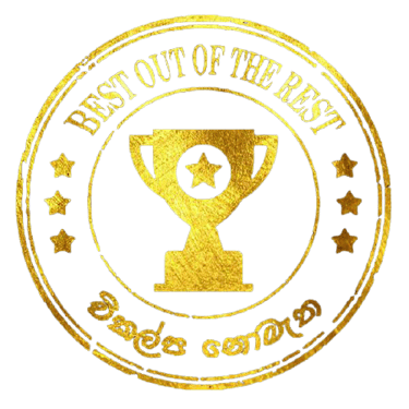 ICT Online With Sir Udula Priyankara logo