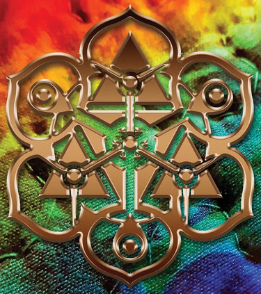 Direct Insight Oracle logo