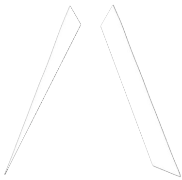 The Goofy Company logo