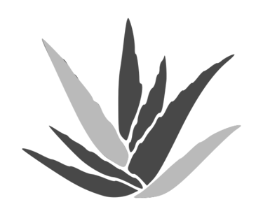 Lukkas, moda casual logo