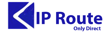 ip route logo