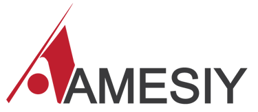 Amesiy logo