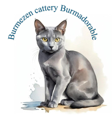 Burmezen cattery Burmadorable logo