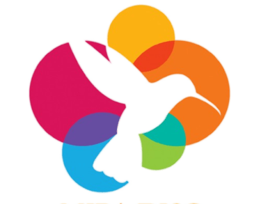 MIRA DISC ANALISE COMPORTAMENTAL logo