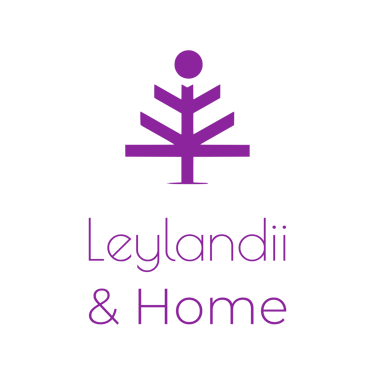 Leylandii Madrid logo