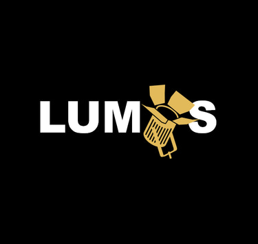 lights and sounds sales company` logo