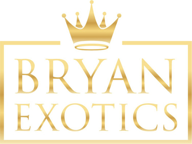 Bryan Exotics VIP logo