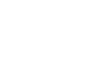 WebSurge logo