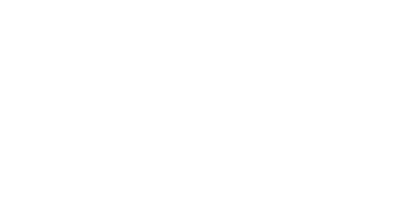 PUNCH logo